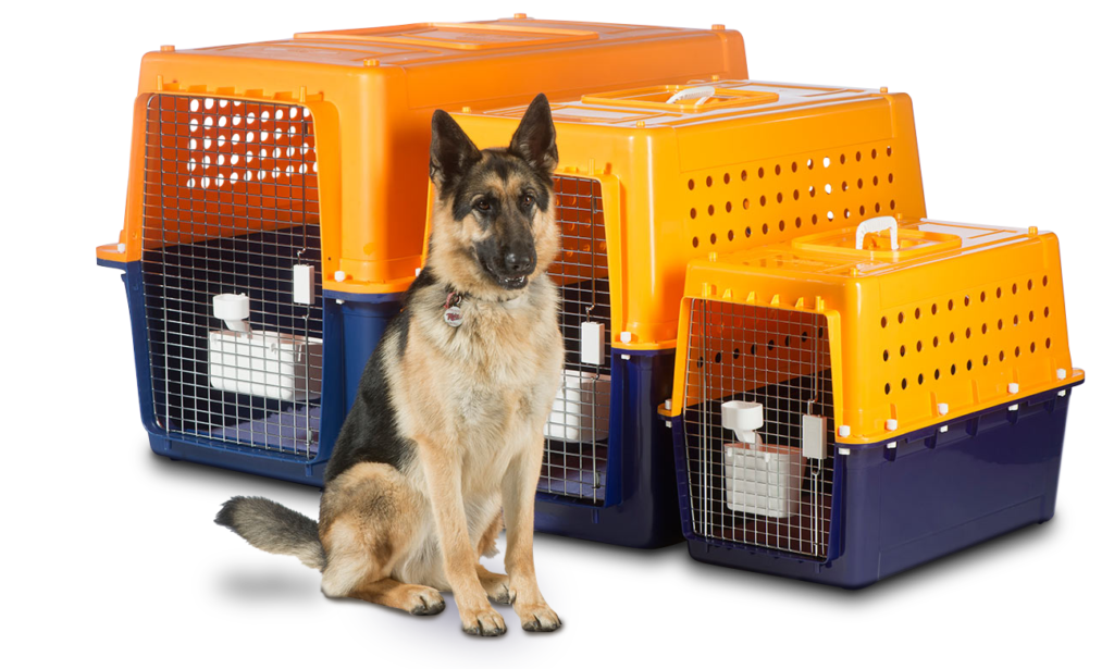 Pet Relocation Services